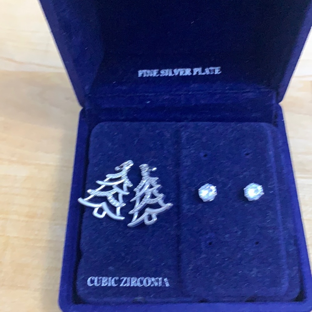 Silver plate Earrings